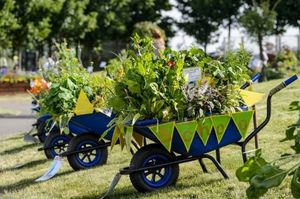 West Midlands schools’ wheelbarrow contest returns to BBC Gardeners’ World Live  