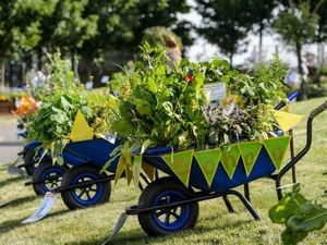 Supporting image for story: Bloom and judged! West Midlands schools’ wheelbarrow contest returns to BBC Gardeners’ World Live