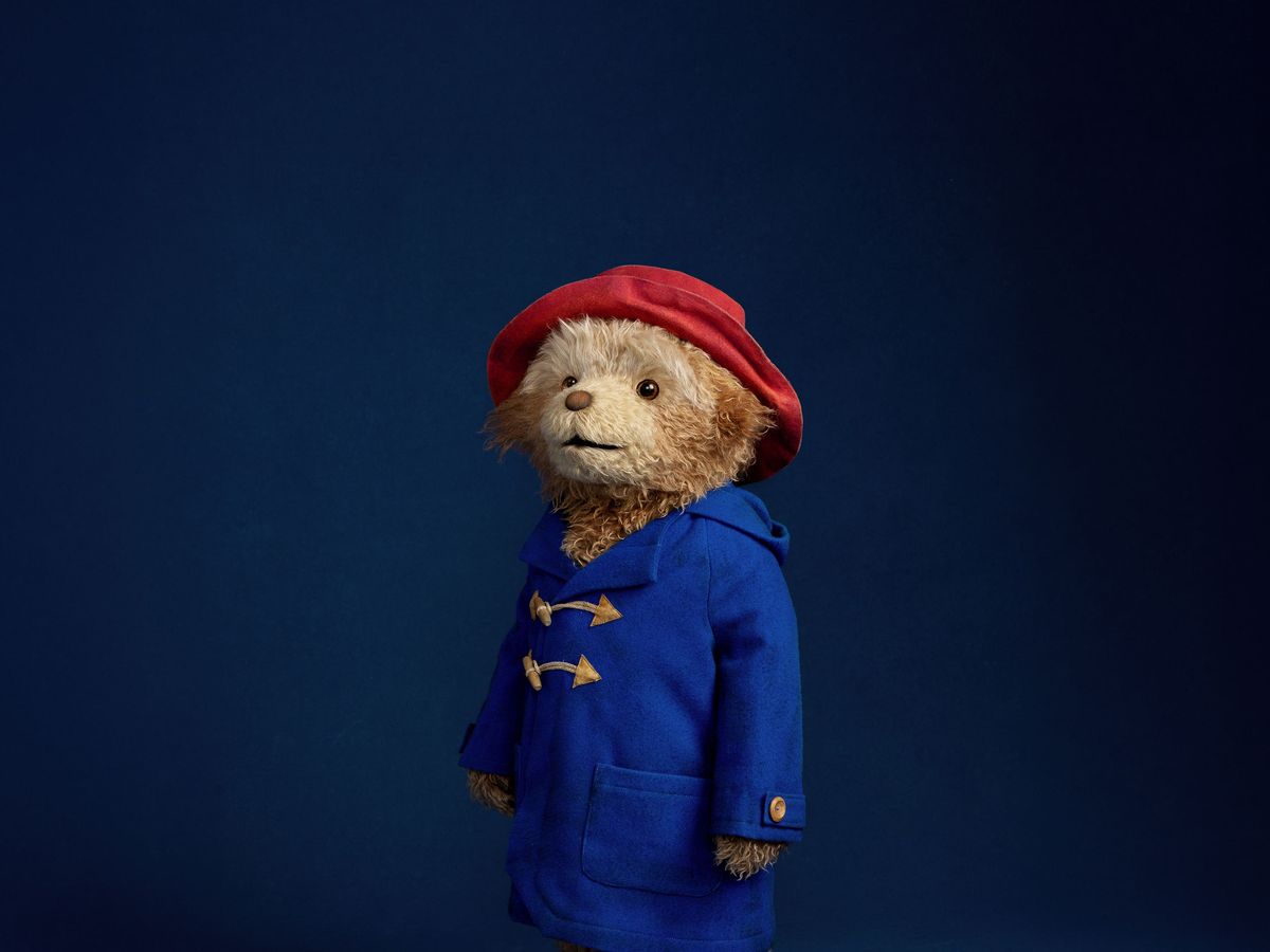 Tom Fletcher hopes for royal visit as Paddington The Musical opens in West End