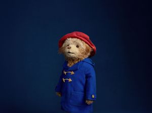 Supporting image for story: Tom Fletcher hopes for royal visit as Paddington The Musical opens in West End