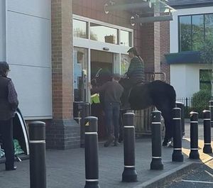 The horse social distance queueing in Chasetown. Photo: Chris Wharton