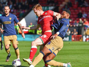 Supporting image for story: AFC Wimbledon v Walsall: Wombles’ wobble ended their play-off ambitions