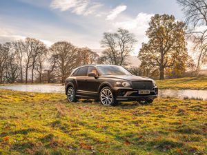 Supporting image for story: Three new Bentley Bentayga specifications designed for angling, equestrian activities and dogs
