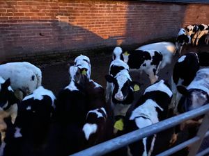 Photo: @SFRS_MDrayton