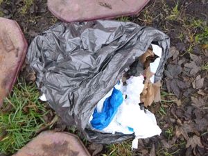 Supporting image for story: Bin liner full of puppies thrown in canal just one of thousands of animal cruelty calls in West Midlands