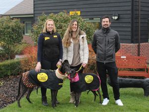 Supporting image for story: Dog lover takes on challenge of a lifetime to help rescue dogs