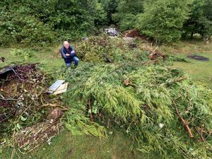 Supporting image for story: Travellers leave planks, tiles and damaged trees after setting up illegal camp in Walsall