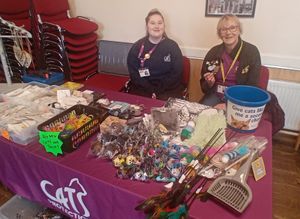 Raising money for Cats Protection.