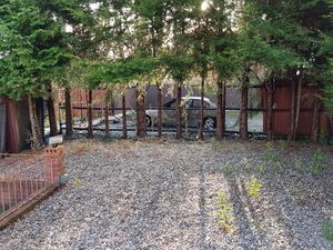 Supporting image for story: Mother left scared after car fire scorches garden fence