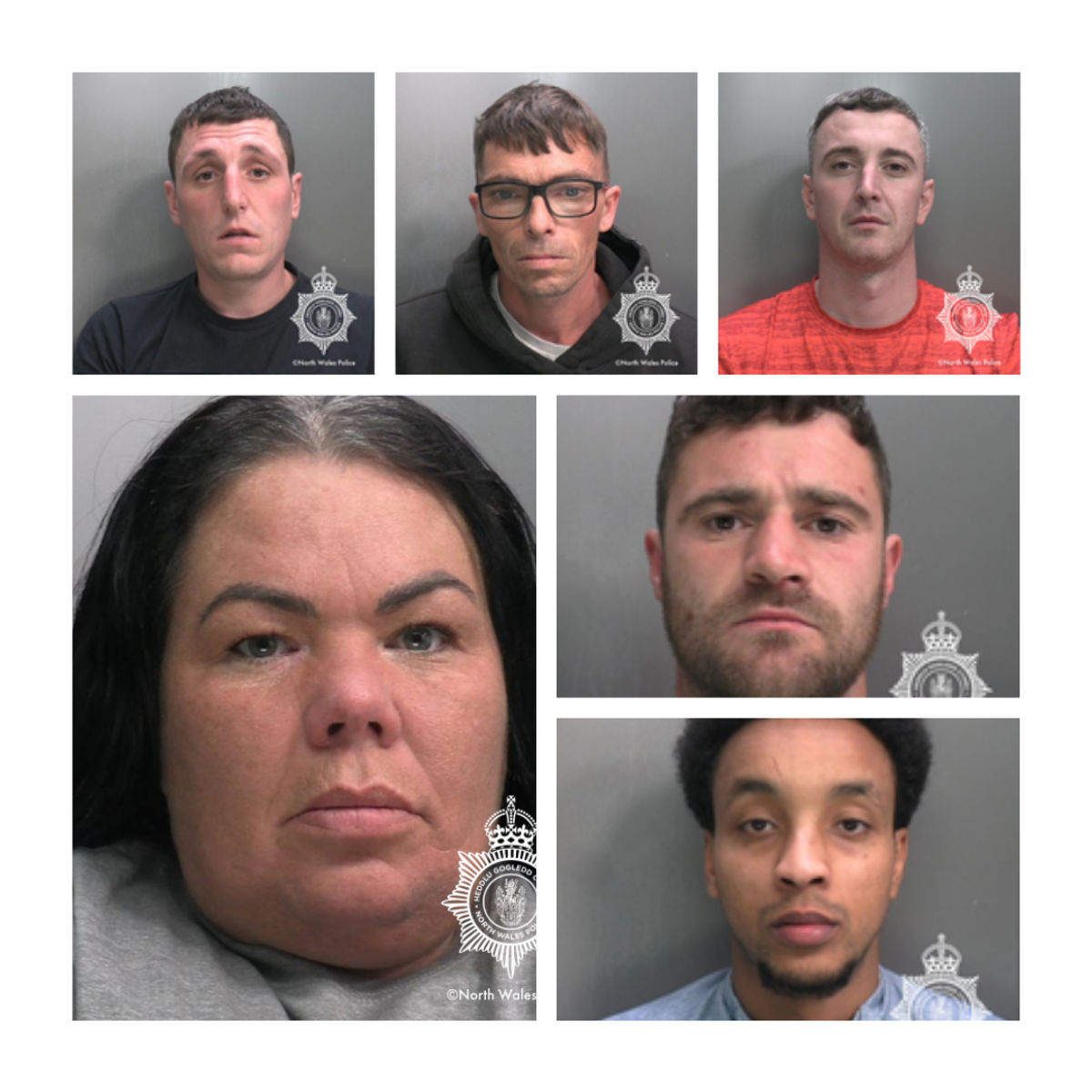 Massive drugs gang locked up for 128 years after dealing cocaine and cannabis