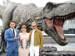 Supporting image for story