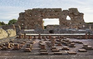 Wroxeter Roman City. Picture: Peter Williams