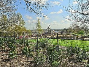 Supporting image for story: Giant-sized fun on way to celebrate 50 years of Telford 