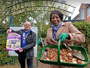Supporting image for story: Polio awareness campaign led by Wolverhampton group