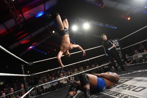 Supporting image for story