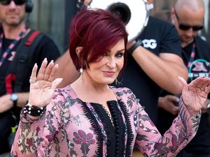 Supporting image for story