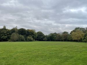 Supporting image for story: Walsall woodland created to celebrate Queen’s Jubilee under threat