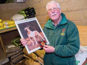 Supporting image for story: Dog show judging is the life for Dudley Zoo man