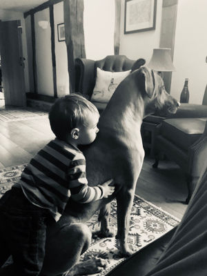 Rhaeger owned by Emmie Parton of Lucton