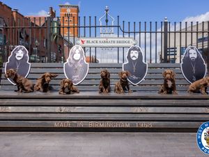 Supporting image for story: West Midlands Police's newest four-legged recruits 'bark at the moon' with Black Sabbath-themed names