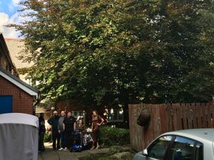 Supporting image for story: Residents complain of 'depressing' darkness as large tree blocks natural light