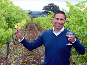 Supporting image for story: Shropshire vineyard hosts open day
