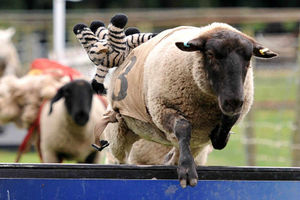 Hoo Farm