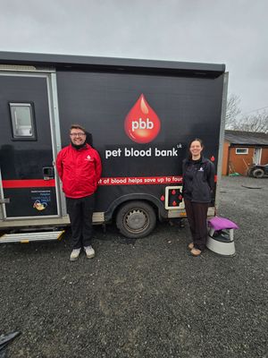 Two of the PBB six staff, which includes two vets, who attend on the day