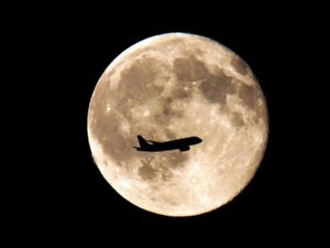 Supporting image for story: Dozens more Britons fly home from Lebanon as G7 urges ‘restraint’ in conflict