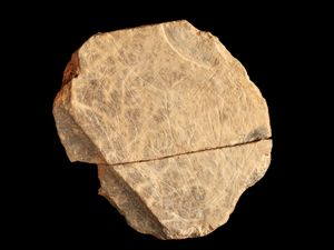 Supporting image for story: Scientists discover stone fragments showing ‘earliest art in the British Isles’