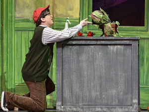 Supporting image for story: Review: Little Shop of Horrors, Oakengates Theatre