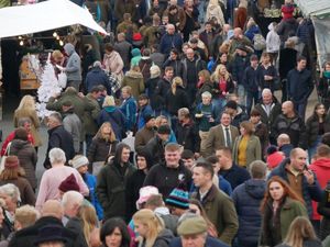 Supporting image for story: The Royal Welsh Winter Fair will go ahead despite Bluetongue virus concerns