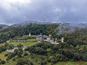 Supporting image for story: I’m A Celebrity weekend shows cancelled after storm damage to production base