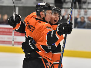 Supporting image for story: Telford Tigers hold form with win over Bisons