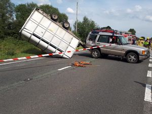 Supporting image for story: Trapped cows released by firefighters after trailer overturns on A41 near Market Drayton