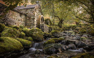 No water for the mills by B.J.Kerrison