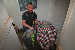 The day of action saw £130k of drugs seized