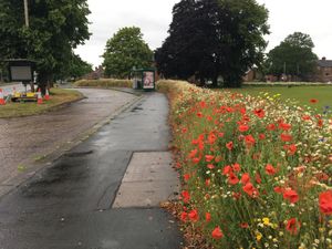 Supporting image for story: Long grass and wildflowers around Stafford divides opinion