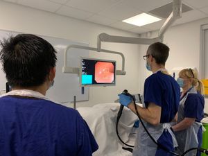 Supporting image for story: AI-powered bowel tests ‘will save lives’