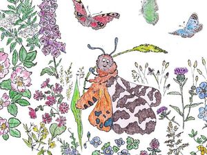 Supporting image for story: Bacteria, plastic jellyfish and plant lice are unlikely heroes in new children’s books by scientists