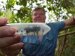 Supporting image for story