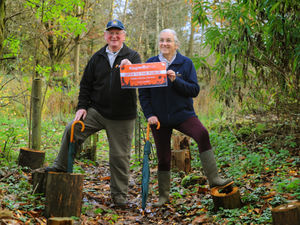 Supporting image for story: New woodland walk opens