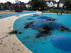The plants and soil were thrown across the play area