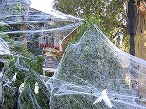 Supporting image for story: Black Country residents warned fake spider webs can kill wildlife this Halloween