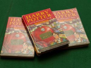 Supporting image for story