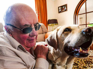 Supporting image for story: A well-earned rest for Shropshire guide dog Greg