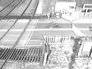 Supporting image for story: Risk-takers filmed at level crossing
