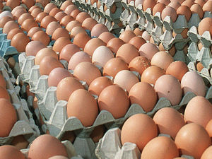 Supporting image for story: Peter Rhodes on breaking eggs, shattering beer glasses and how to take boy racers off the road