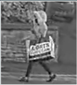 CCTV images released by police of the mysterious female figure