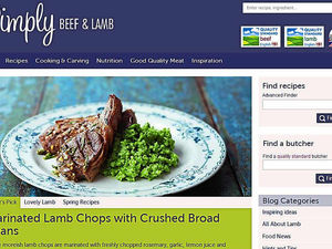 Supporting image for story: More tips after beef and lamb website revamped